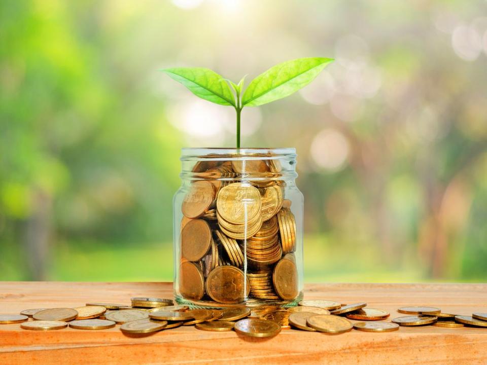 green plant grow on golden coin in glass jar with money on wood table with blur nature background. business financial banking saving concept. investment profit income. startup. successful.