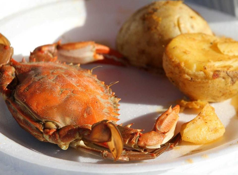 Considering where you find them and what they'll eat, the blue crab cleans up nicely for the plate.