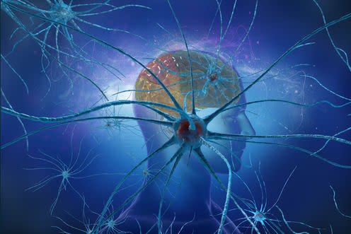 <span class="attribution"><a class="link " href="http://www.shutterstock.com/pic-432067909/stock-photo--d-illustration-neurons-cell-brain-on-science-background.html?src=VV5YIjNSTE_lBi9V0R4tsA-2-37" rel="nofollow noopener" target="_blank" data-ylk="slk:www.shutterstock.com;elm:context_link;itc:0;sec:content-canvas">www.shutterstock.com</a></span>