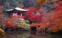 <p>Photography is banned both inside and outside the temple that is home to a five-story pagoda that is the oldest building in Kyoto.</p>