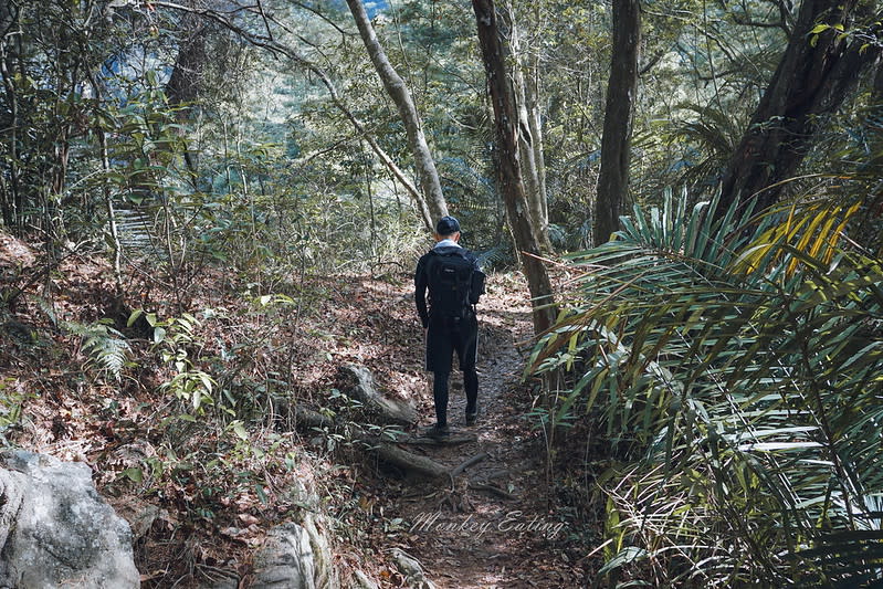 谷關七雄｜波津加山