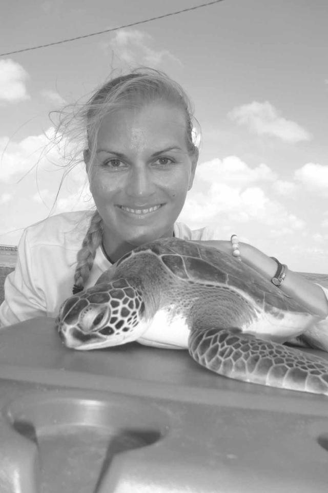 Sea turtle winces in pain as a straw is removed from its nose in video, The Independent