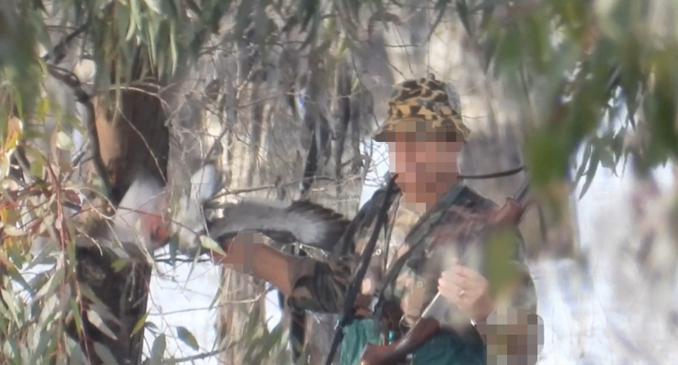 A man using the windmilling technique to kill a duck on Lake Boort