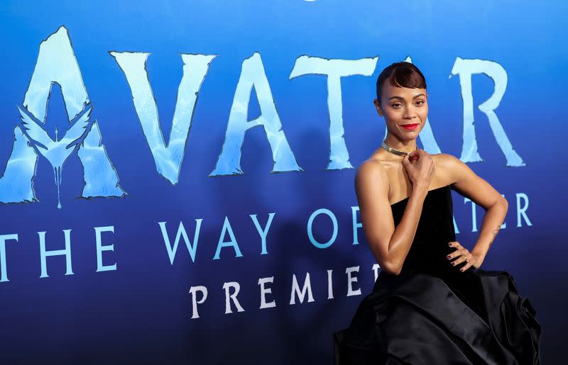 FILE PHOTO: Premiere for the film Avatar: The Way of Water at Dolby theatre in Los Angeles