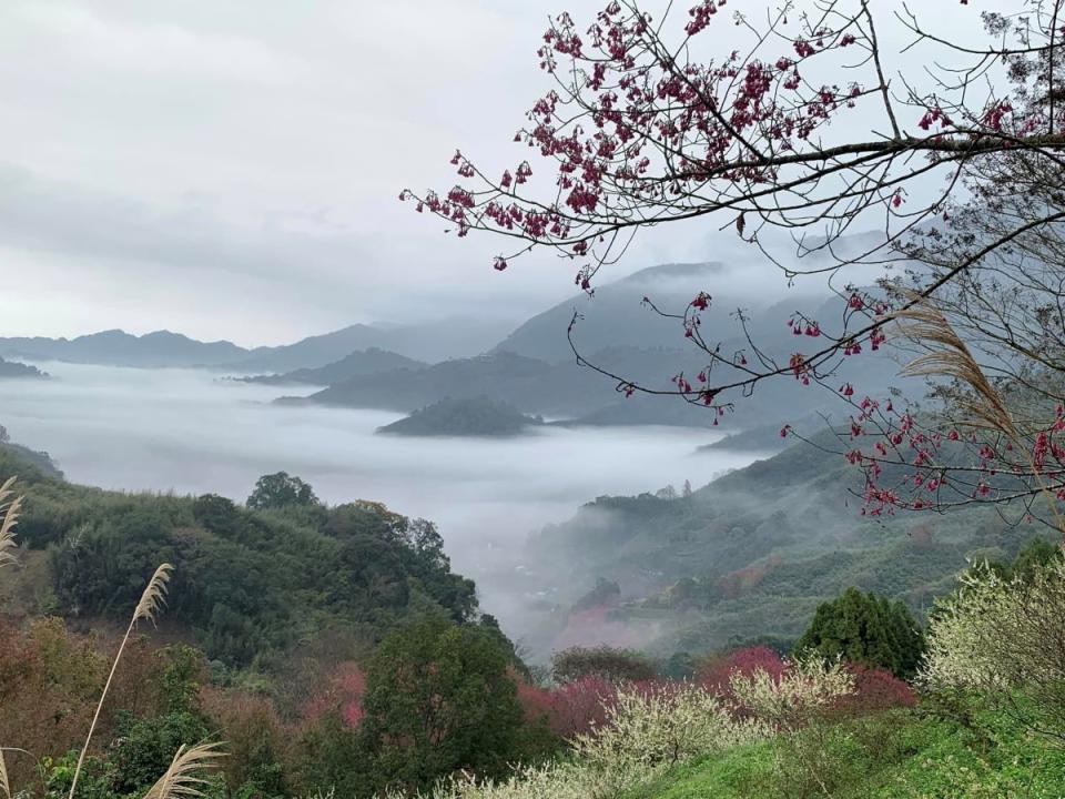 苗栗18鄉鎮各具特色，泰安雲海美景流連忘返。（圖：彭清仁攝）