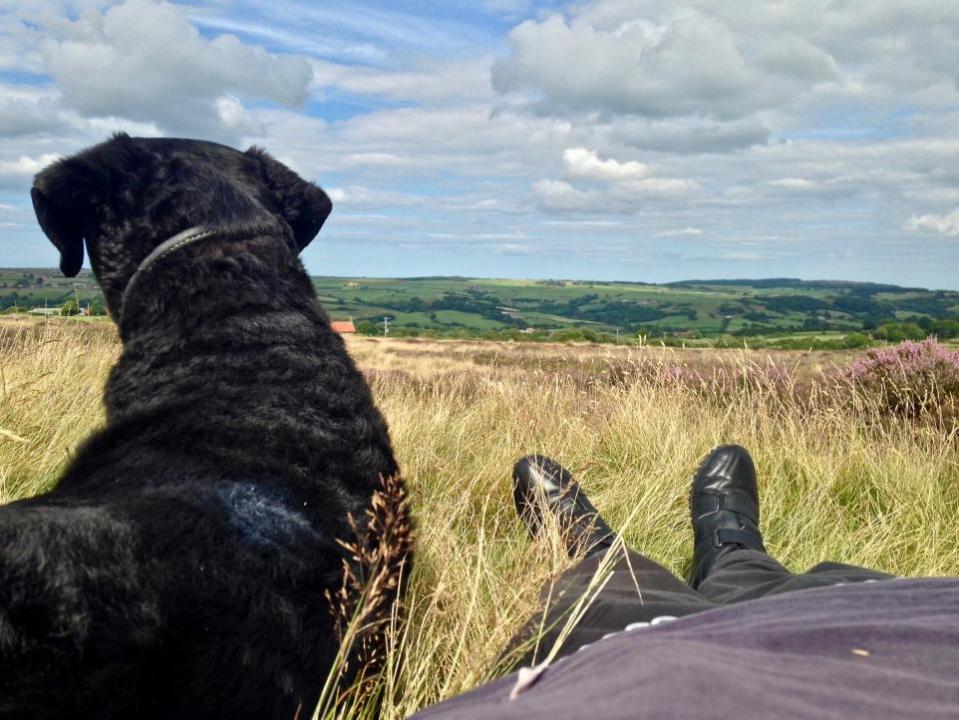 York Press: Views across the North York Moors just keep on giving