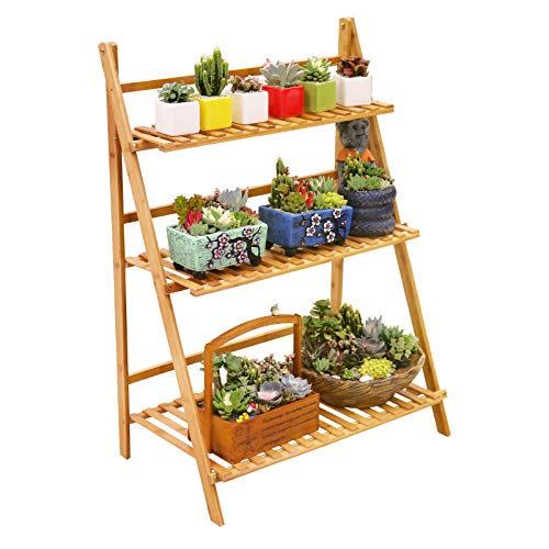 6) Bamboo Ladder Plant Stand