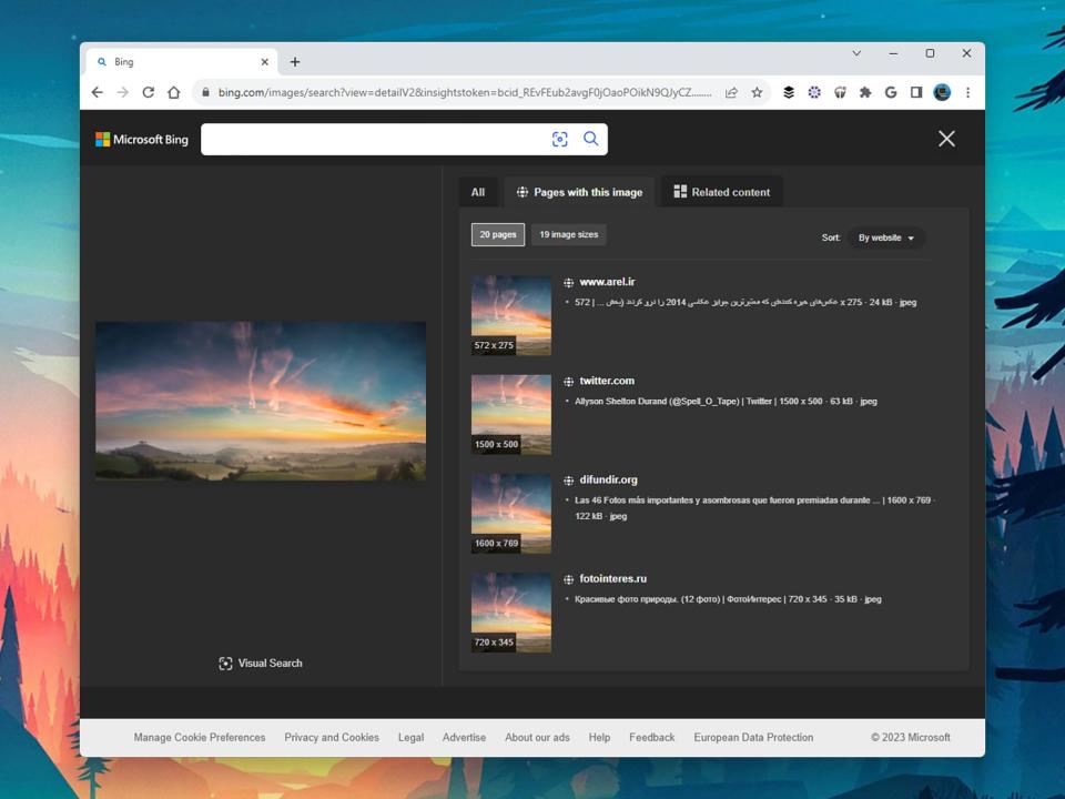 Backwards image search results page on Bing