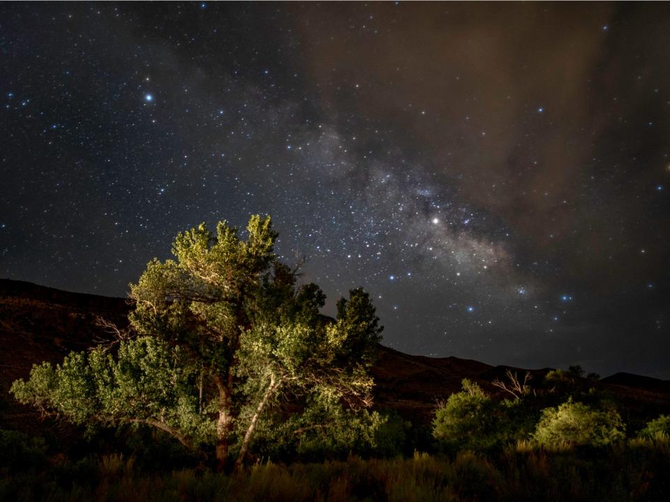 zion campsite at night