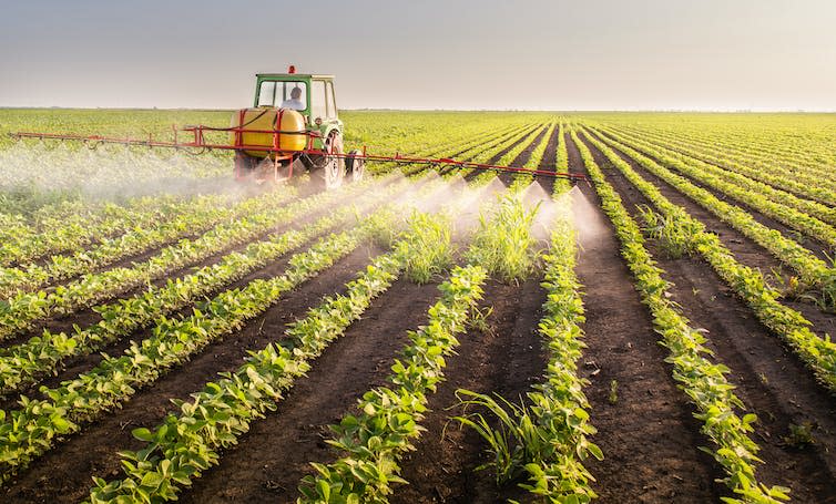 A tractor spraying pesticides on a soybean field.