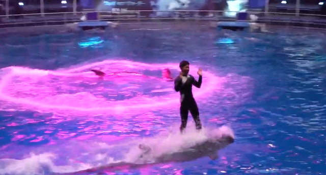 A trainer riding a dolphin during the Avatar 2 show.