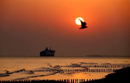 FILE PHOTO: A ferry from the trans-channel ferry company DFDS sails during the sunrise in the coast of Sangatte
