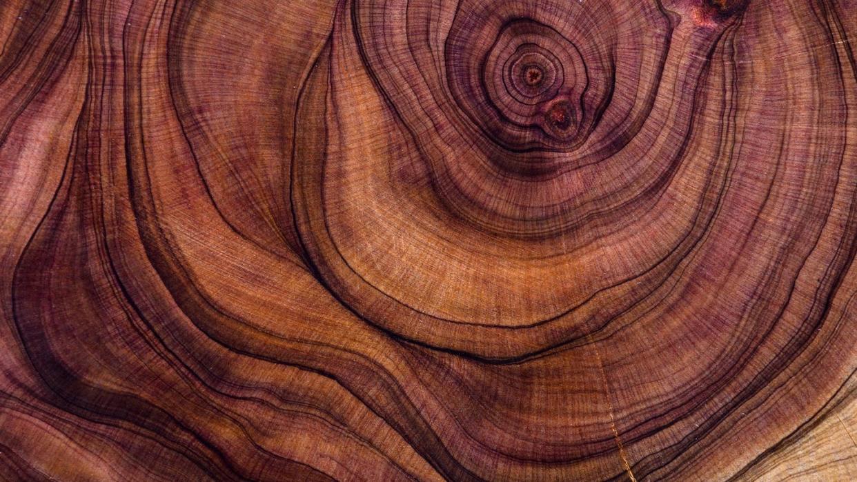 abstract hardwood