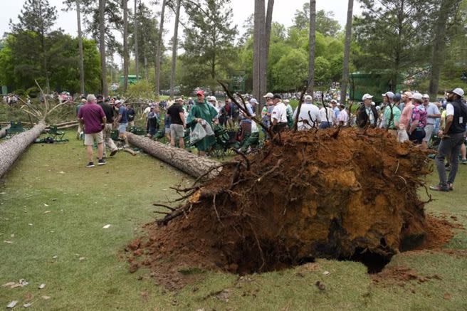 美國高球名人賽樹木倒塌。（美聯社）