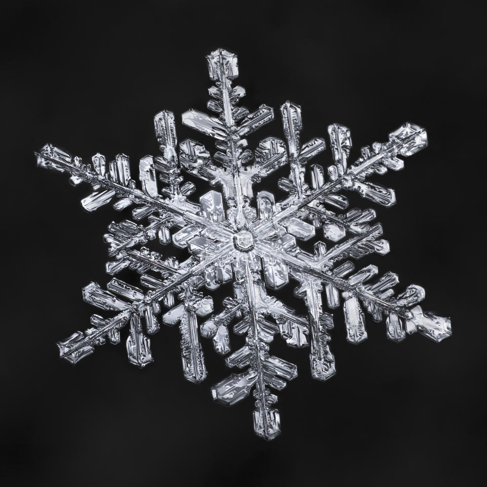 <p>Each snowflake photo takes roughly four hours to edit to ensure perfect details. (Photo: Don Komarechka/Caters News) </p>