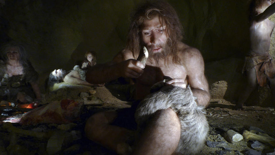 An exhibit shows the life of a neanderthal family in a cave in the new Neanderthal Museum in the northern town of Krapina February 25, 2010. The high-tech, multimedia museum, with exhibitions depicting the evolution from 'Big Bang' to present day, opens on February 27. REUTERS/Nikola Solic (CROATIA - Tags: SOCIETY)