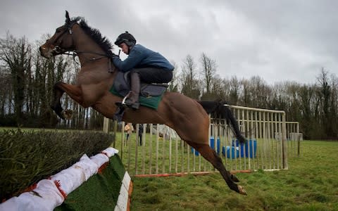 The take-off boards are covered white to see if it benefits the horse - Credit: GEOFF PUGH