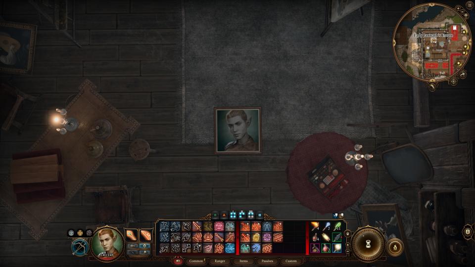 Baldur's Gate 3 Free the Artist - Character portrait