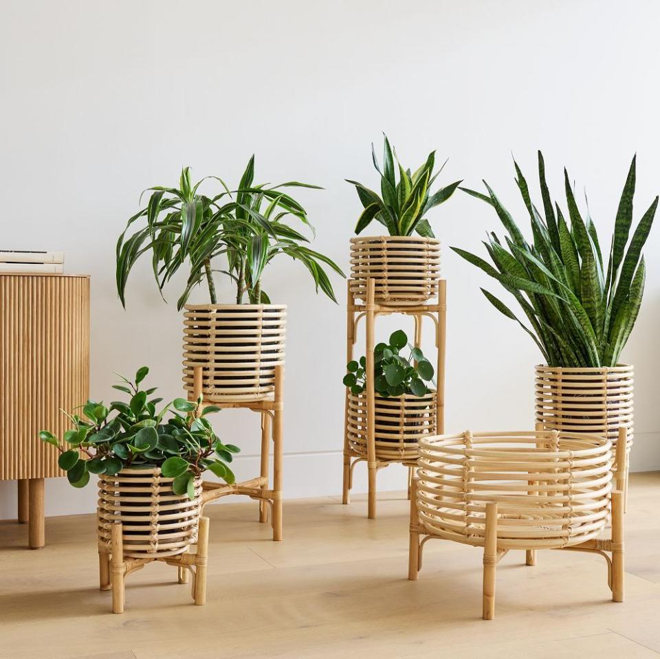 Adobe Rattan Planter