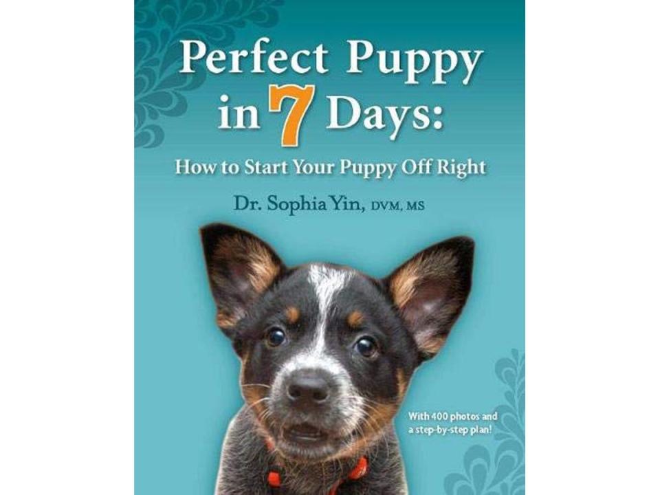 perfect_puppy_book