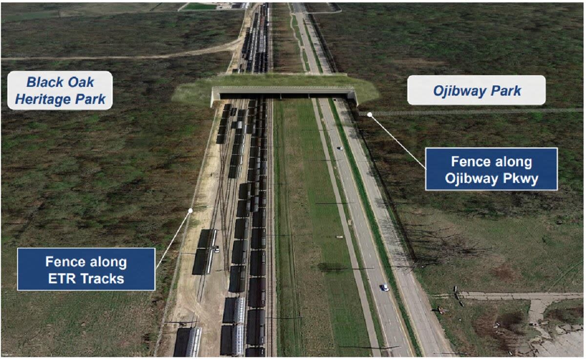 Design Option 3 of the Ojibway Wildlife Crossing Project. (City of Windsor - image credit)