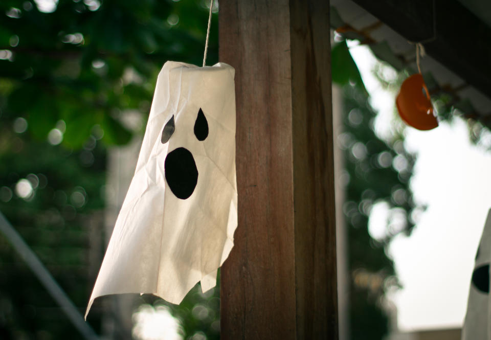 Los animales que se han lucido durante la noche de Halloween. Foto: Luiz Carlos Bertachi Filho – EyeEm/Getty Images