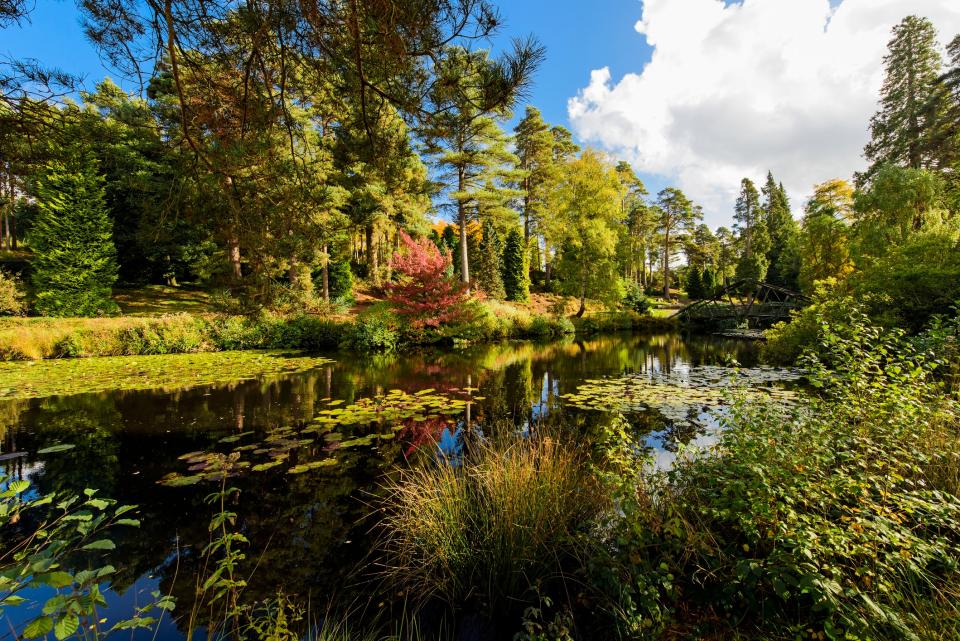 Royal Tunbridge Wells - istock