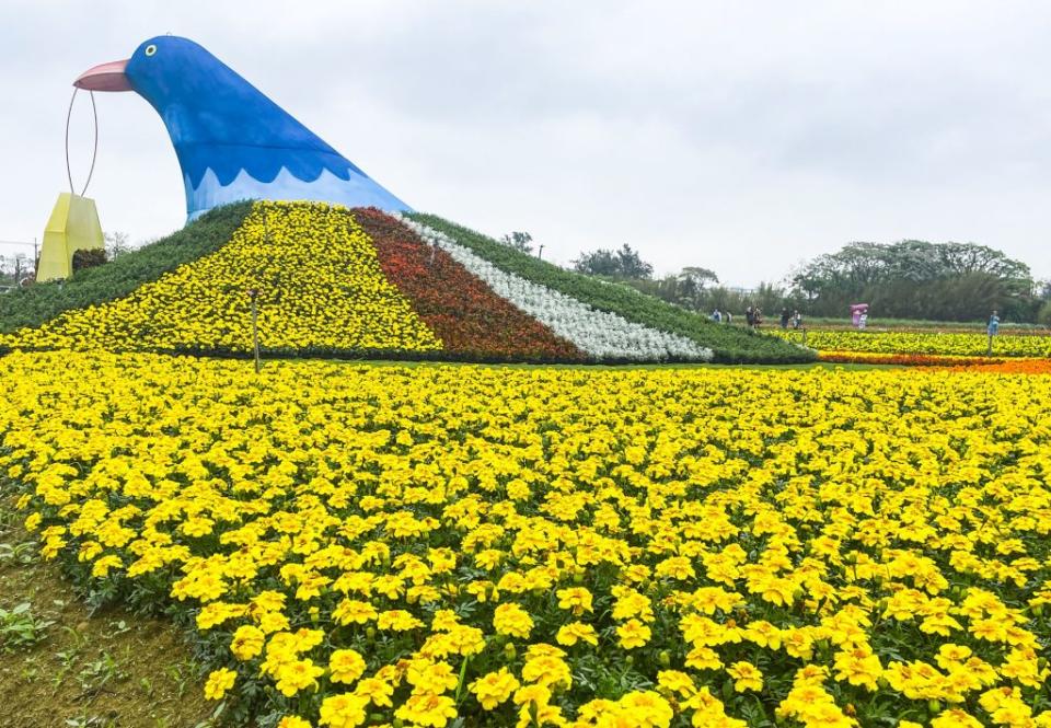 桃園彩色海芋季一日登場，主題藝術裝置「青鳥‧芋守」共使用兩萬盆草花，碩大青鳥口中銜著花卉御守，象徵守護幸福。<br />(桃園市政府提供，中央社)