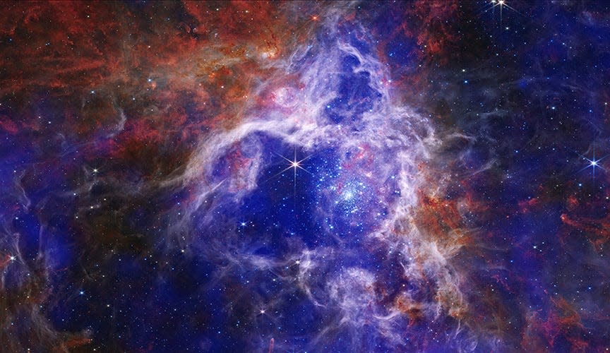 The Tarantula Nebula, is a region of active star formation located in the Large Magellanic Cloud, a neighbor galaxy of the Milky Way. This new composite image combines X-ray data from Chandra (in royal blue and purple) with an infrared image from NASA's James Webb Space Telescope to reveal gas that has been heated to millions of degrees by shock waves — similar to sonic booms from airplanes — generated by the winds from massive stars.