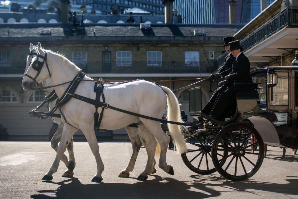 Two Windsor Greys, which will pull the carriage at the wedding of Britain's Prince Harry and Meghan Markle, during preparations in the Royal Mews at Buckingham Palace in London, Tuesday May 1, 2018.  Prince Harry and Meghan Markle will tie the knot at St. George's Chapel in Windsor, southern England on May 19, with about 600 guests and some 2,600 neighbours, staff and specially selected members of the public greeting the happy couple outside the chapel. The Scottish State Coach will be used in the case of wet weather and the Ascot Landau open carriage used if it turns out to be a sunny day. (Victoria Jones/Pool via AP)