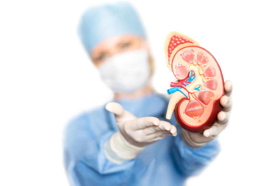 7 Best Dialysis and Kidney Disease Stocks to Buy