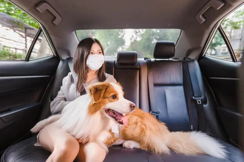 ▲Uber與合作車隊提供寵物友善的「毛孩優步」乘車選項，慶祝國際寵物日，至4月底祭出最高5趟共200元乘車優惠，寵物商品隨點即送。（圖／Uber）