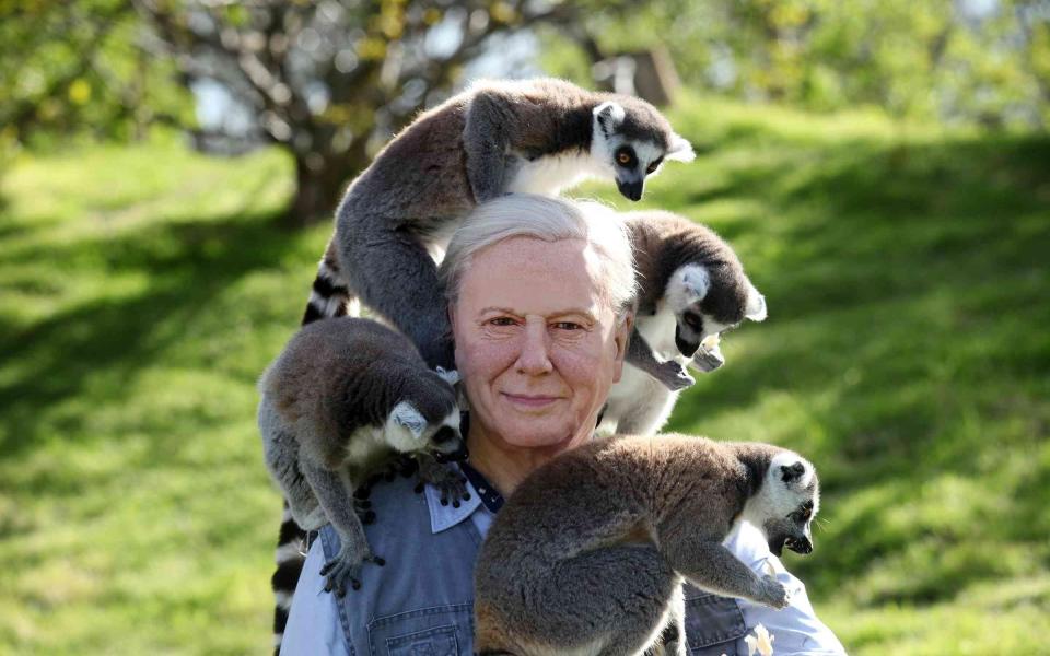 Sir David Attenborough - Credit: Jason Lock Photography