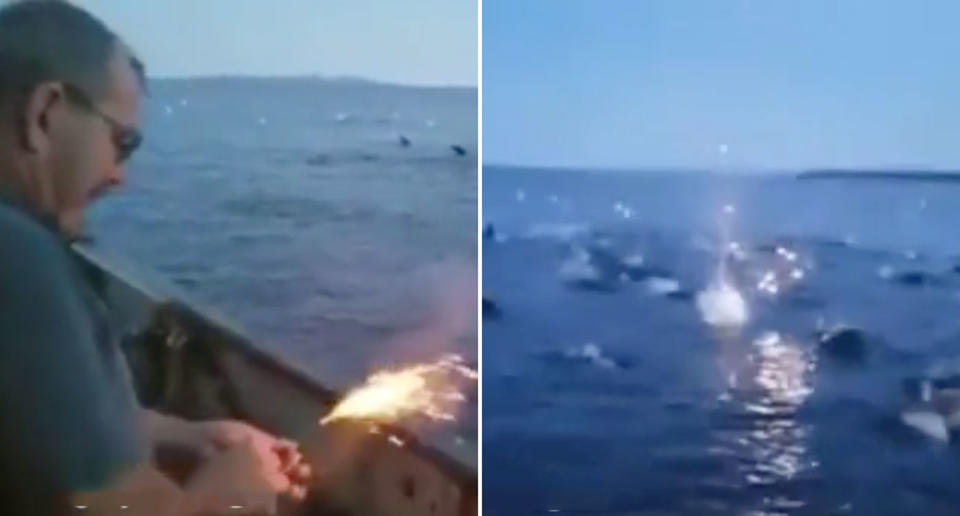 A fisherman throws an explosive at sea lions to disperse them at Strait of Georgia, west of Vancouver. Source: Instagram/SeaLegacy