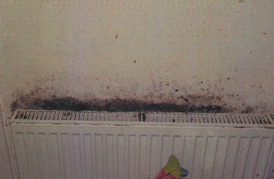 Greater Manchester Police found thick mould behind radiators, and inside other properties on the estate. (Reach)