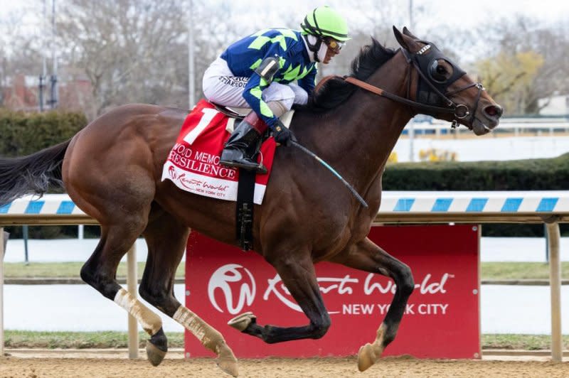 Resilience wins the Wood Memorial. Photo by Walter Wlodarczyk, courtesy of New York Racing Association