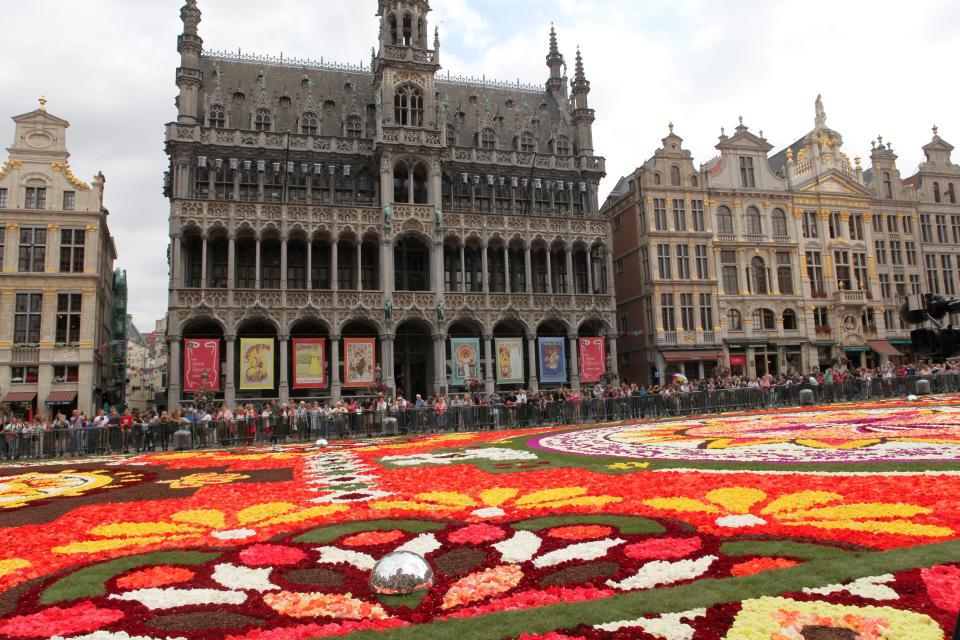 FOTOS | México protagoniza tradicional alfombra floral gigante de Bruselas