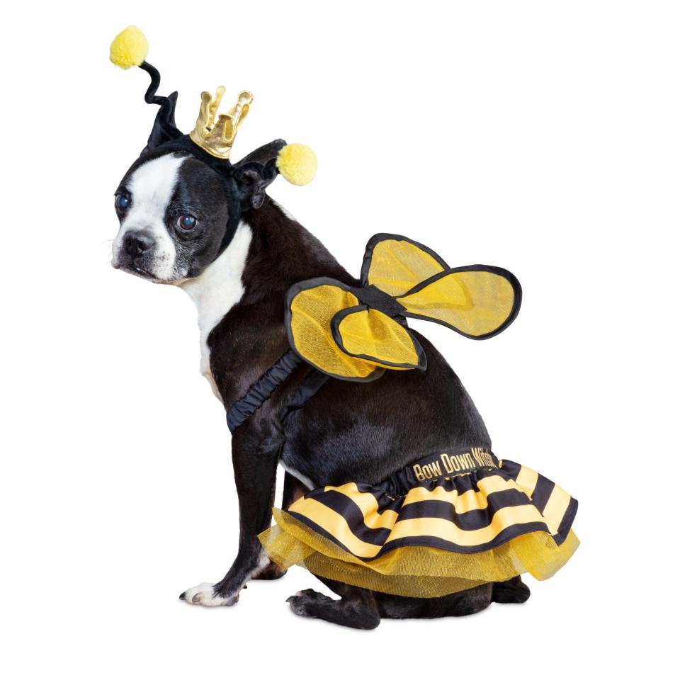 Bee Royalty Pet Costume