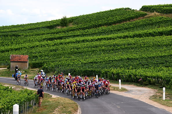 The peloton passes through Avize vineyards during the 2022 Tour de France Femmes.