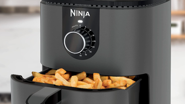 Ninja Foodi Air Fryer Recipes - Air Fryer Eats