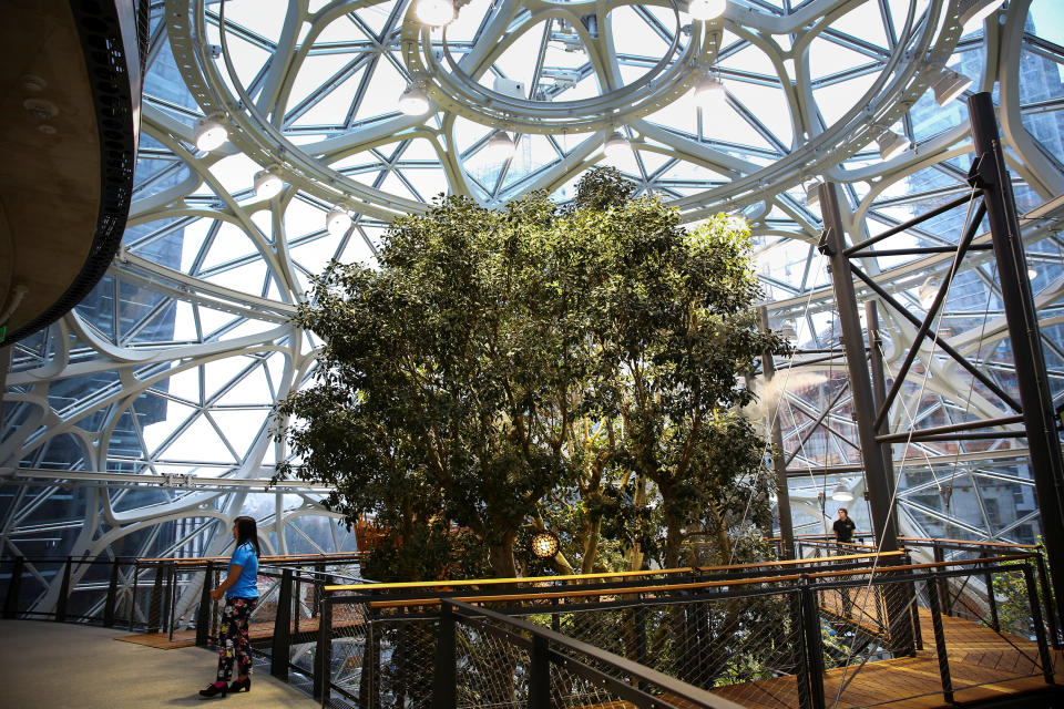 <p>Pero el gran protagonista de The Spheres es Rubi, un majestuoso árbol de 17 metros de altura que ha sido trasladado desde una granja de California y que está situado en el centro de este invernadero/oficina. (Foto: Lindsey Wasson / Reuters). </p>