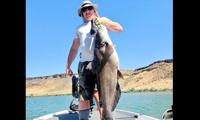 Angler shatters catfish record while fishing for sturgeon - Yahoo Sports