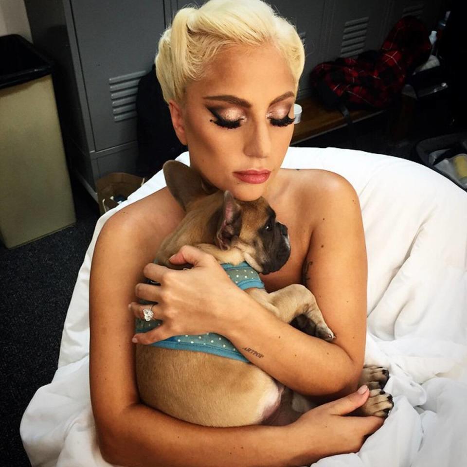 Lady Gaga, Instagram