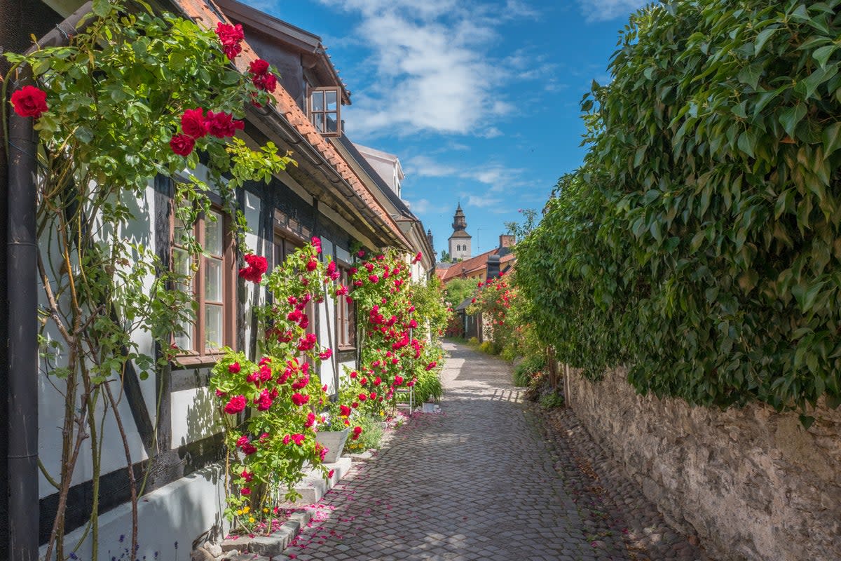 Idle away the days on Sweden’s Gotland island (Getty Images/iStockphoto)