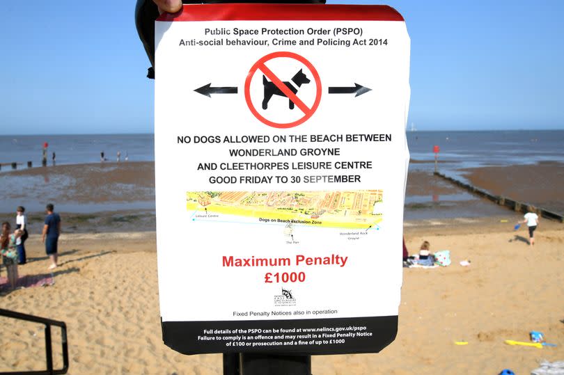 No dogs are allowed on Cleethorpes beach between Wonderland and Cleethorpes Leisure Centre between Good Friday and September 30 -Credit:GrimsbyLive/Donna Clifford