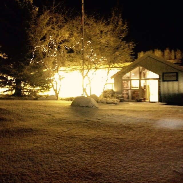 <p>Malgré le froid qui règne en Islande, ces plantations peuvent malgré tout profiter de ce facteur. Crédit photo : Instagram friedheimar </p>