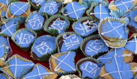 Cakes are seen at a tea-party organised by members of the group 'English Scots for YES' near Berwick-upon-Tweed on the border between England and Scotland September 7, 2014. REUTERS/Russell Cheyne