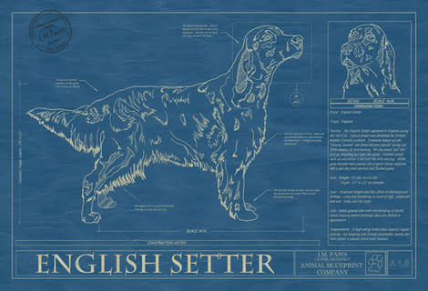 Animal Blueprint