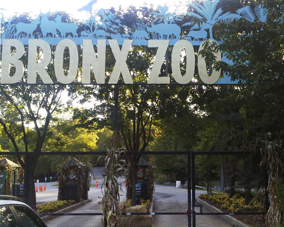 FILE - This Sept. 21, 2012, file photo shows an entrance to the Bronx Zoo in New York. A tiger at the zoo has tested positive for the new coronavirus. It&#39;s believed to be the first infection in an animal in the U.S. and the first known in a tiger anywhere, the U.S. Department of Agriculture said Sunday, April 5, 2020. The zoo says all the animals are expected to recover. (AP Photo/Jim Fitzgerlad, File)