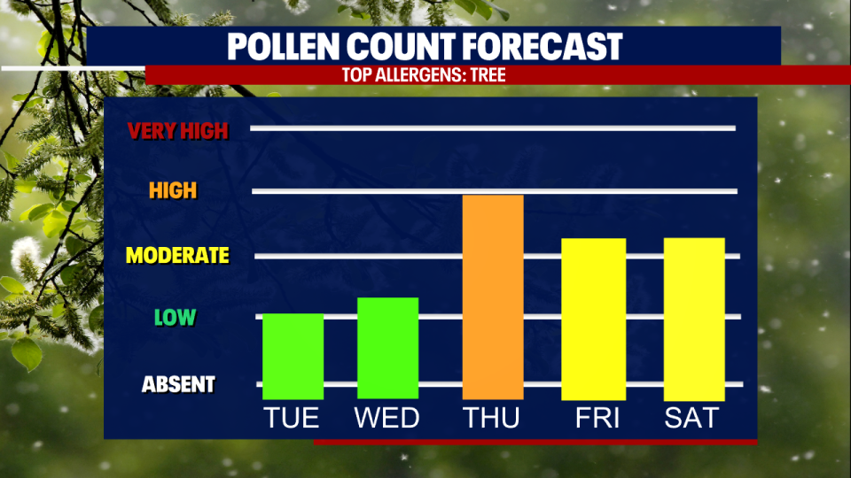 <div>Pollen Count Bars Forecast</div>